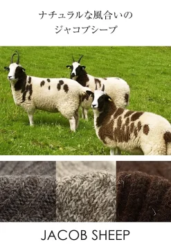 GRANGE CRAFT / Jacob Sheep Wool Socks